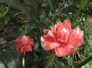 img_1102 * 1200 x 900 * (125KB)