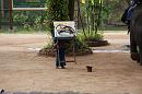 img_1196 * 1200 x 800 * (174KB)
