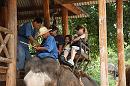 img_1222 * 1200 x 800 * (186KB)