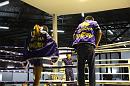 img_1312 * 1200 x 800 * (139KB)
