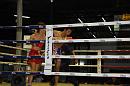 img_1343 * 1200 x 800 * (108KB)