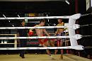 img_1344 * 1200 x 800 * (114KB)