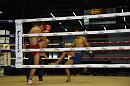 img_1354 * 1200 x 800 * (116KB)