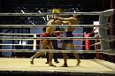 img_1373 * 1200 x 800 * (129KB)