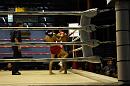 img_1391 * 1200 x 800 * (116KB)