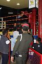 img_1490 * 800 x 1200 * (122KB)