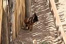 img_1563 * 1200 x 800 * (203KB)