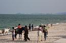 img_1837 * 1200 x 800 * (126KB)