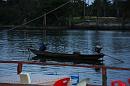 img_1962 * 1200 x 800 * (139KB)