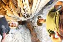 img_2171 * 1200 x 800 * (166KB)
