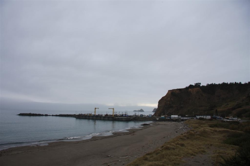 img_1353_ct.jpg