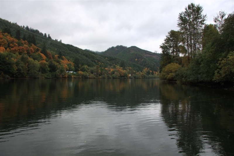 img_1462_ct.jpg