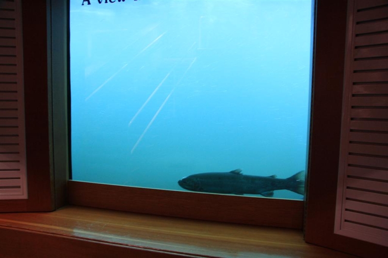 img_1621_ct.jpg